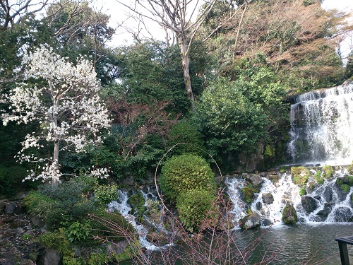 le_jardin11
